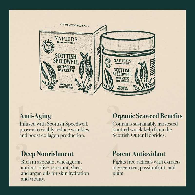 Napiers Speedwell Ageless Day Cream - Anti-Aging & Wrinkle Reduction