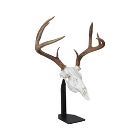 DEAD ON DISPLAY – Desktop Mount- American Made, European Mount Skull Hanger Taxidermy Trophy Mounting Kit Bracket-