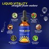 (2 Pack) Vigor Solar Gotas – Daily Nutrient Drops Formula