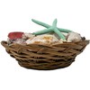 Beautiful Mixed Shell Basket - Basket of Shells - Starfish