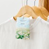 round around Scented Sachet 15g - Scented Sachet [Cypress Forest]