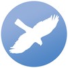 Songbird Essentials WindowAlert Hawk Anti-Collision Decal (SE7015) - UV-Reflective Window