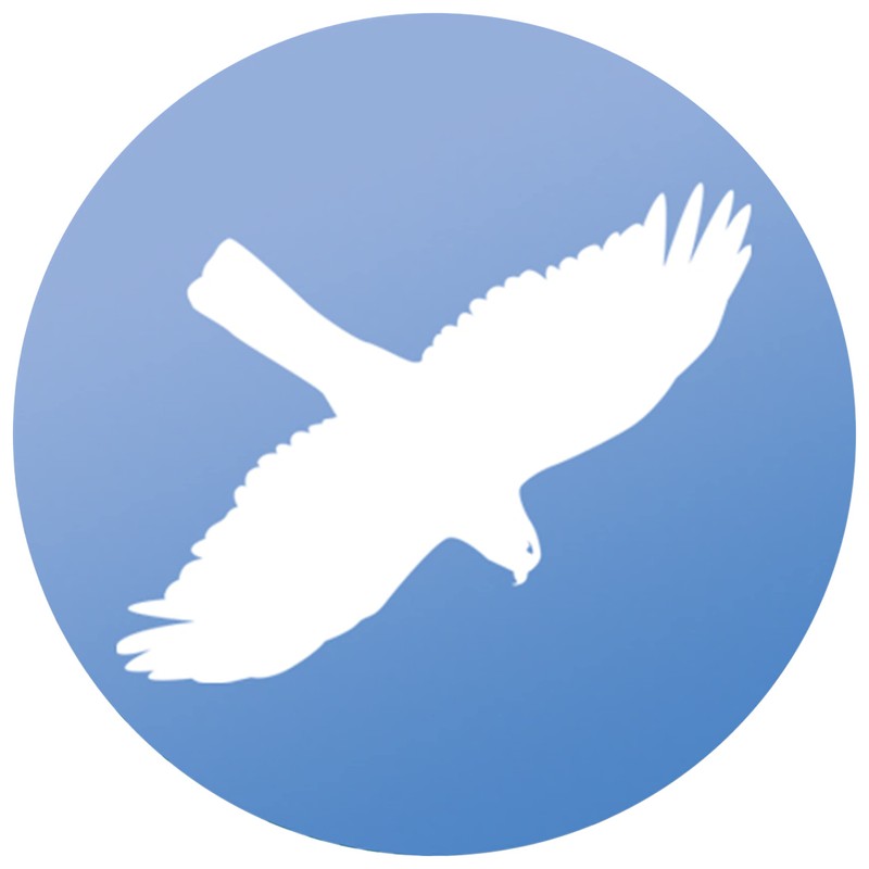Songbird Essentials WindowAlert Hawk Anti-Collision Decal (SE7015) - UV-Reflective Window