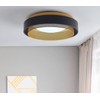 Aiwen LED Round Flush Mount Light, Contemporary Circular Ceiling Lighting