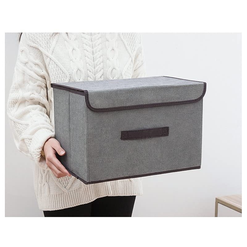 NCRGB Pack of 2 Fabric Foldable Storage Boxes with Lid,