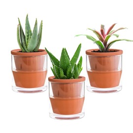 D'vine Dev 4 Inch Design Self Watering Pot for Indoor Plants, Terracotta Planter with Cylinder Glass Cup, Set of 3, 372-A-3