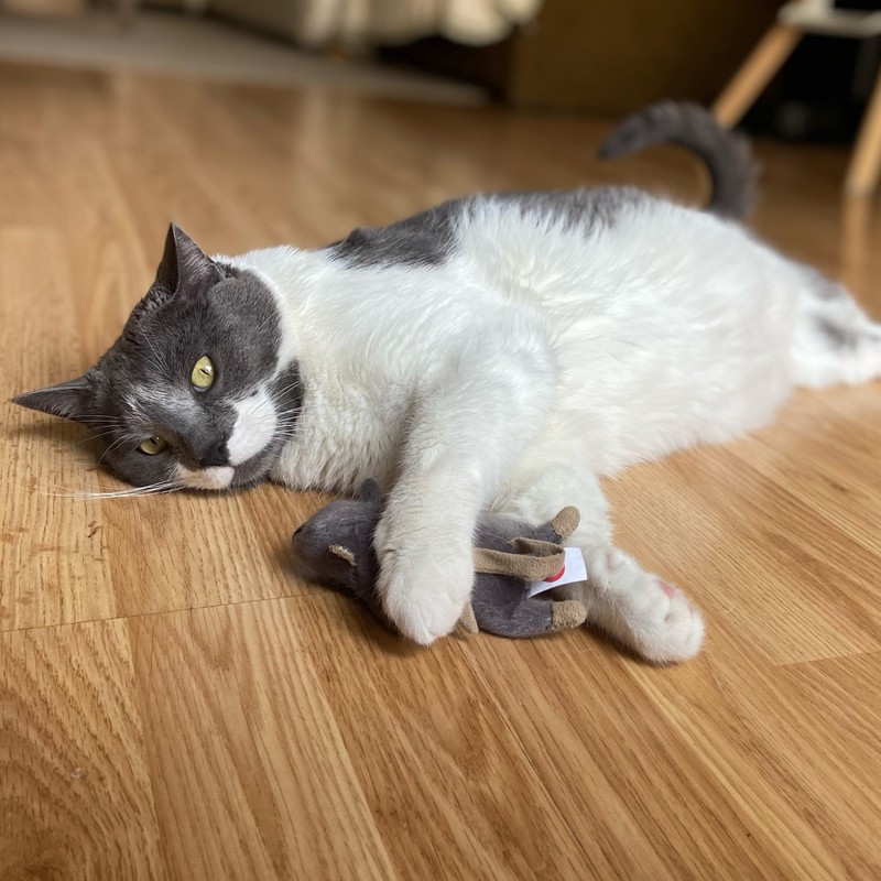 SPOT Flat Mouse Frankie with Catnip - Cat Toy, Fuzzy