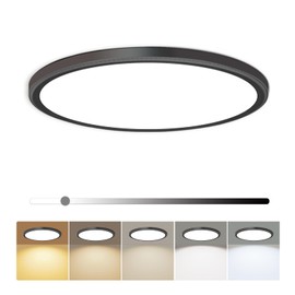 hunhun 12 Inch LED Flush Mount Ceiling Light Fixture 28W 3200LM Dimmable 5 Color Temperature in One Super Slim Round Ceiling Lamp Low Profile Ceiling Lights for Living Bedroom Kitchen Laundry Black