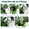EODELLY 2 Pcs Glass Self Watering Globes, Iridescent Automatic Plant