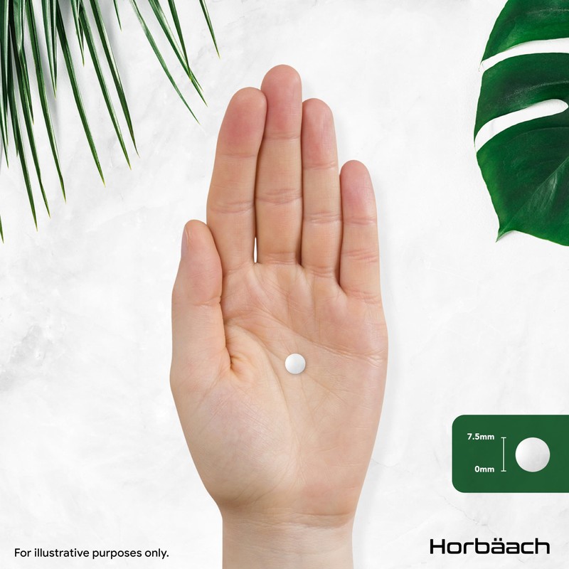 HI Vitamin B5 Pantothenic Acid 500 mg 90 Vegan Tablets