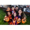 Fruidles Orange & Grape Pumpkin Tattoo Lollipop Suckers Candy, Great