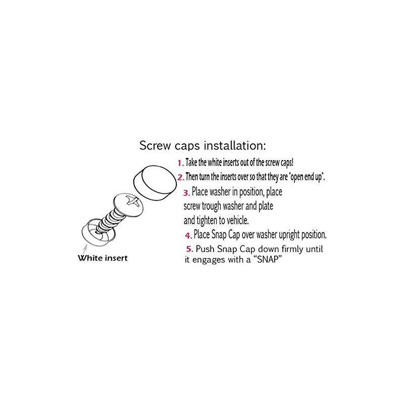 LFPartS Stainless Steel Screws Fasteners for License Plates, Frames, and