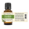 Eucalipto - Aceite Esencial Puro 15 ml - Grado Terapéutico