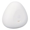 Fruit Vegetable Purifier Intelligent Portable Fruit Vegetable Cleaner Device for