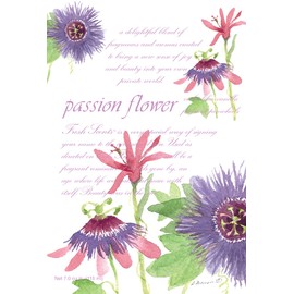 Fresh Scents Passion Flower Duftsachet, 115 m