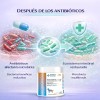 Ms Probiotico Para Perros 90 Gr