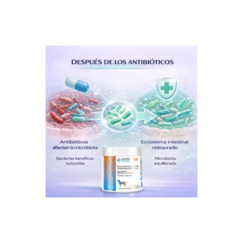 Ms Probiotico Para Perros 90 Gr