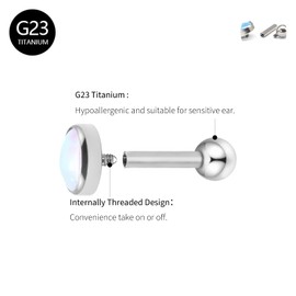 16g Titanium Internally Threaded Earrings with Screw Back for Sensitive Ears Hypoallergenic Cartilage Tragus Helix Ear Piercing Diameter (Hot Pink, 4mm)