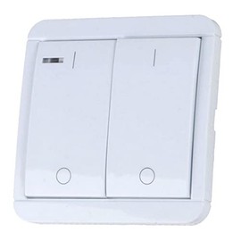 DWS-20T Wireless Series Wall Transmitter with 2 x Timers 2 Channel with 2 Count Down Timers DIW-Funk