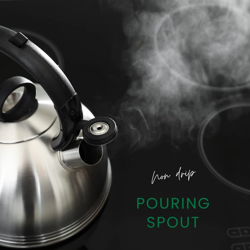 Premium Stainless Steel Whistling Kettle | 10 Colors | Stove