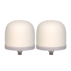 Ceramic Dome Water Filter Silver Impregnated with Active Carbon (2 pack)