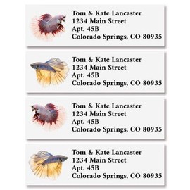 Fish Return Address Labels Set of 240, Self-Adhesive, Flat-Sheet Labels, by Colorful Images (4 Designs)