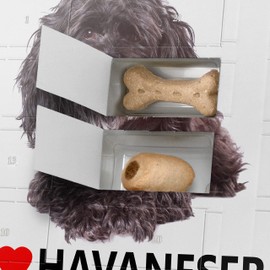 printplanet Dog Advent Calendar with Treats - Motif I Love Havanese - Christmas Calendar for Dogs - 2023