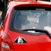 Car Sticker 25 cm White German Shepherd Car Sticker White