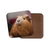 1 x Cute Ginger Guinea Pig Cork Backed Drinks Coaster