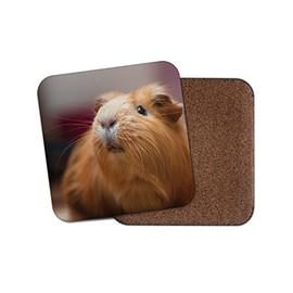 1 x Cute Ginger Guinea Pig Cork Backed Drinks Coaster - Pig Animal Kids #8353
