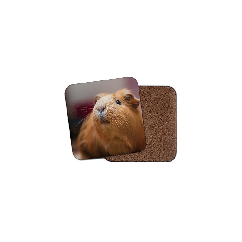 1 x Cute Ginger Guinea Pig Cork Backed Drinks Coaster