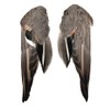 Complete Duck Wings per Pair (#1 Grade Pintail Wings)
