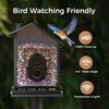TT Nature Upgrade Squirrel-Proof Bird Feeder with Camera, Solar Powered,