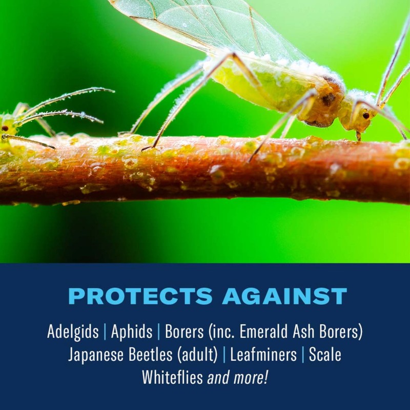 BioAdvanced 12 Month Tree & Shrub Protect and Feed Concentrate