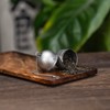 Boundless Voyage Titanium Tea Infuser with Extended Chain & Hook