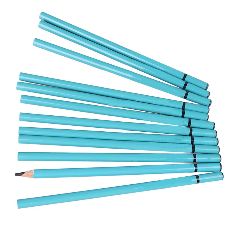12pcs Charcoal Pencils Set Synthetic Wood Sketching Drawing Pencils for