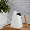 Watering Can with Long Spout 800ml Stainless Steel Matte Indoor