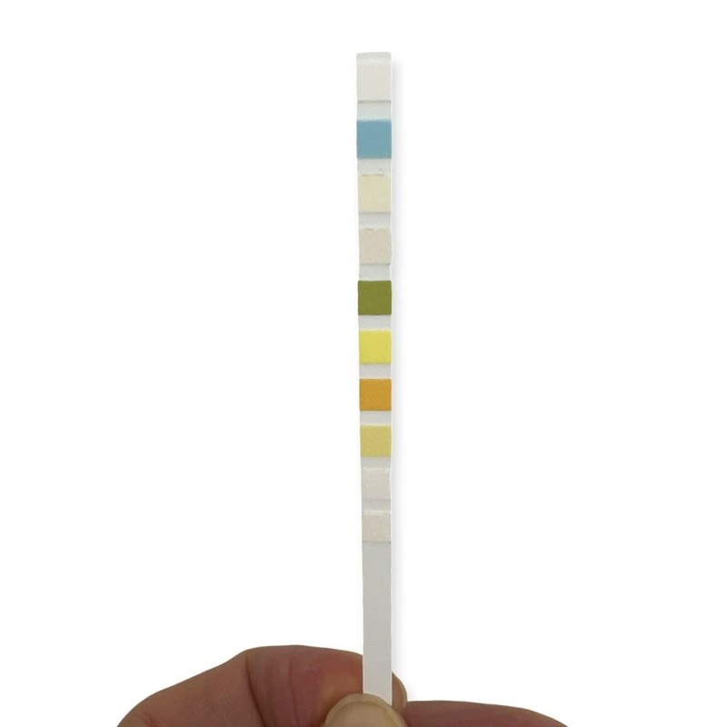 One Step 50 x Vet Pet Urine Test Strips -