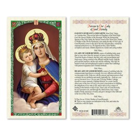 Novena to Our Lady of Good Remedy Laminated Prayer Cards - Pack of 25- English