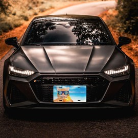 Cute Funny Cat Glasses Beach Blue Front License Plate Aluminum Decorative License Plates Funny Metal Car Plate 6"X12" Novelty Vanity Tag Cover with 4 Holes Car Decor Accessory