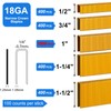 SimCos 18 Gauge 1/4" Narrow Crown Staples, Galvanized Upholstery Staples