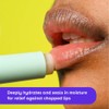 eos Organic Stick Lip Balm - Strawberry Sorbet | Certified