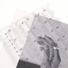UPTTHOW Acrylic Paper Tearing Ruler Craft Ruler for Cutting Paper