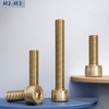 FEEIMOL Brass Hexagonal Socket Machine Screws M2 x 6 mm