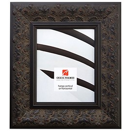 Craig Frames Borromini, 16 by 24-Inch Ornate Picture Frame, Black Walnut
