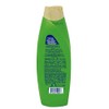 PERT, Shampoo 2 en 1 Olivo y Aguacate | Limpia