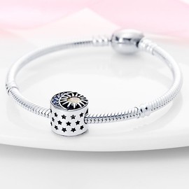 Pandach C39 Women's Charm Pendant for Bracelet, 925 Sterling Silver Charms Beads Fits Bracelet and Necklace, Compatible with European Bracelets for Women and Girls, Sterling Silver