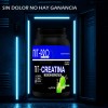 Creatina Monohidratada En Polvo 1kg Nit-pro Varios Sabores