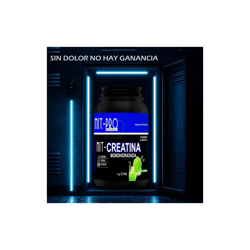 Creatina Monohidratada En Polvo 1kg Nit-pro Varios Sabores