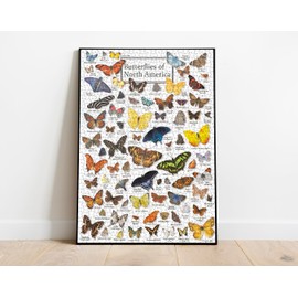 Colorful Butterfly Puzzle for Adult 1000 Piece, Animal Puzzles for Adults 1000 Pieces and Up, Butterflies Jigsaw Puzzle Collage for Adult